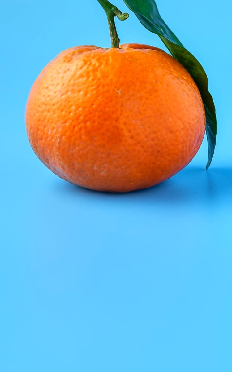 An orange on a blue background